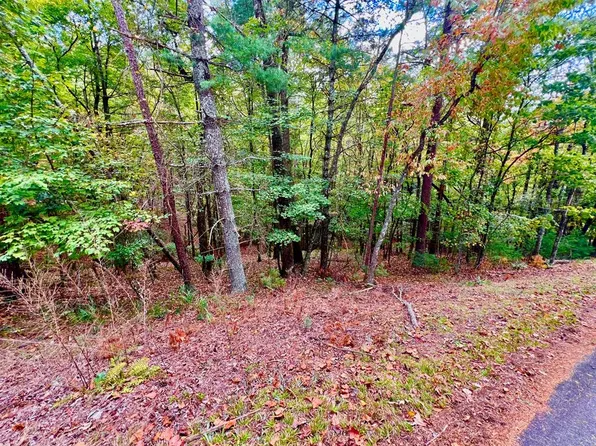 577 Tonto Dr, Ellijay, GA 30540