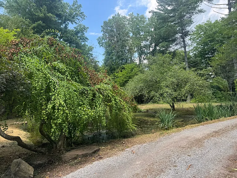 10428 Coward Mill Rd — Photo 22
