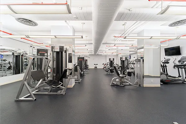 Rented by Living New York | media 28