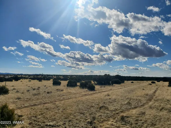 County Road 5074, Concho, AZ 85924