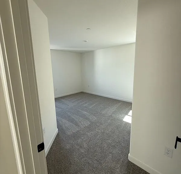 1114 Bengal Loop — Photo 19