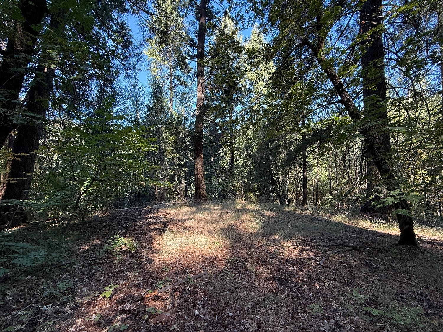 Blue Canyon Road, Emigrant Gap, CA 95715 | MLS #226091835 | Zillow