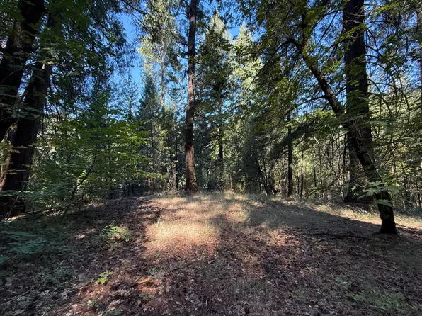 Blue Canyon Road, Emigrant Gap, CA 95715