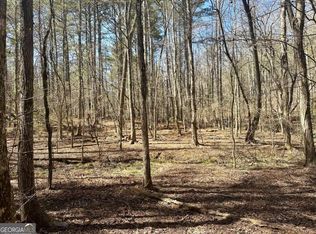 555 Larmon Forks Rd, Dahlonega, GA 30533