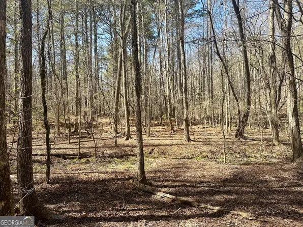 555 Larmon Forks Rd, Dahlonega, GA 30533