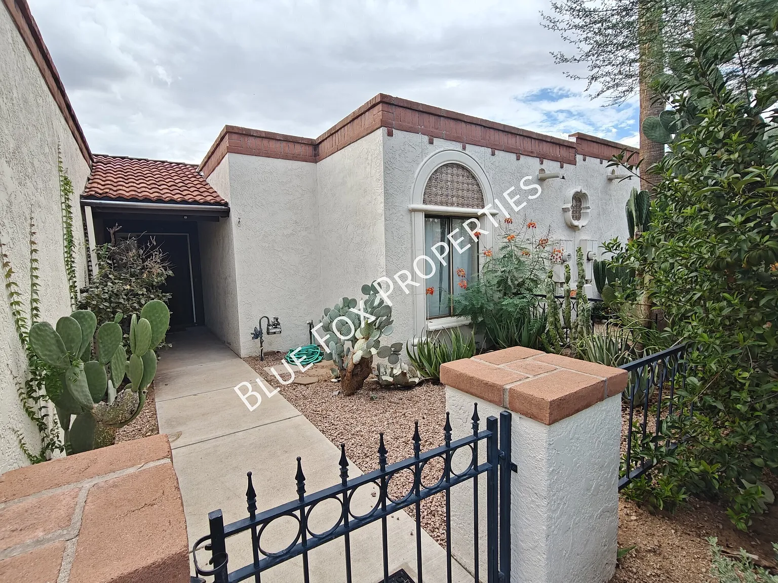 983 W Palma De Pina — Photo 3