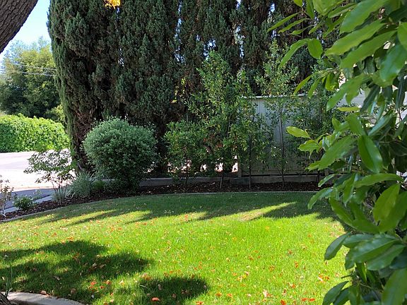 Front yard