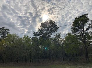 Scaup Duck Ave LOT 10, Brooksville, FL 34614