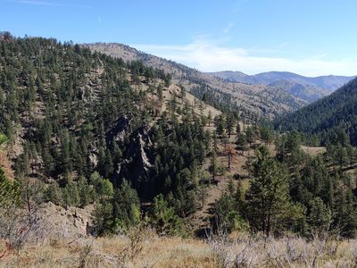 465 Moose Ridge Rd, Bellvue, CO, 80512