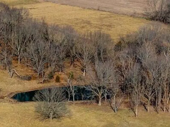 Tbd W Farm Road 120, Bois D Arc, MO 65612