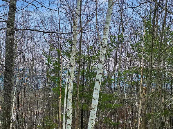 xxx Apple Hill Rd Lot Z, Bayfield, WI 54814