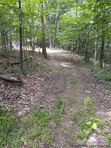 644 Main, Saint Remy, NY, 12401