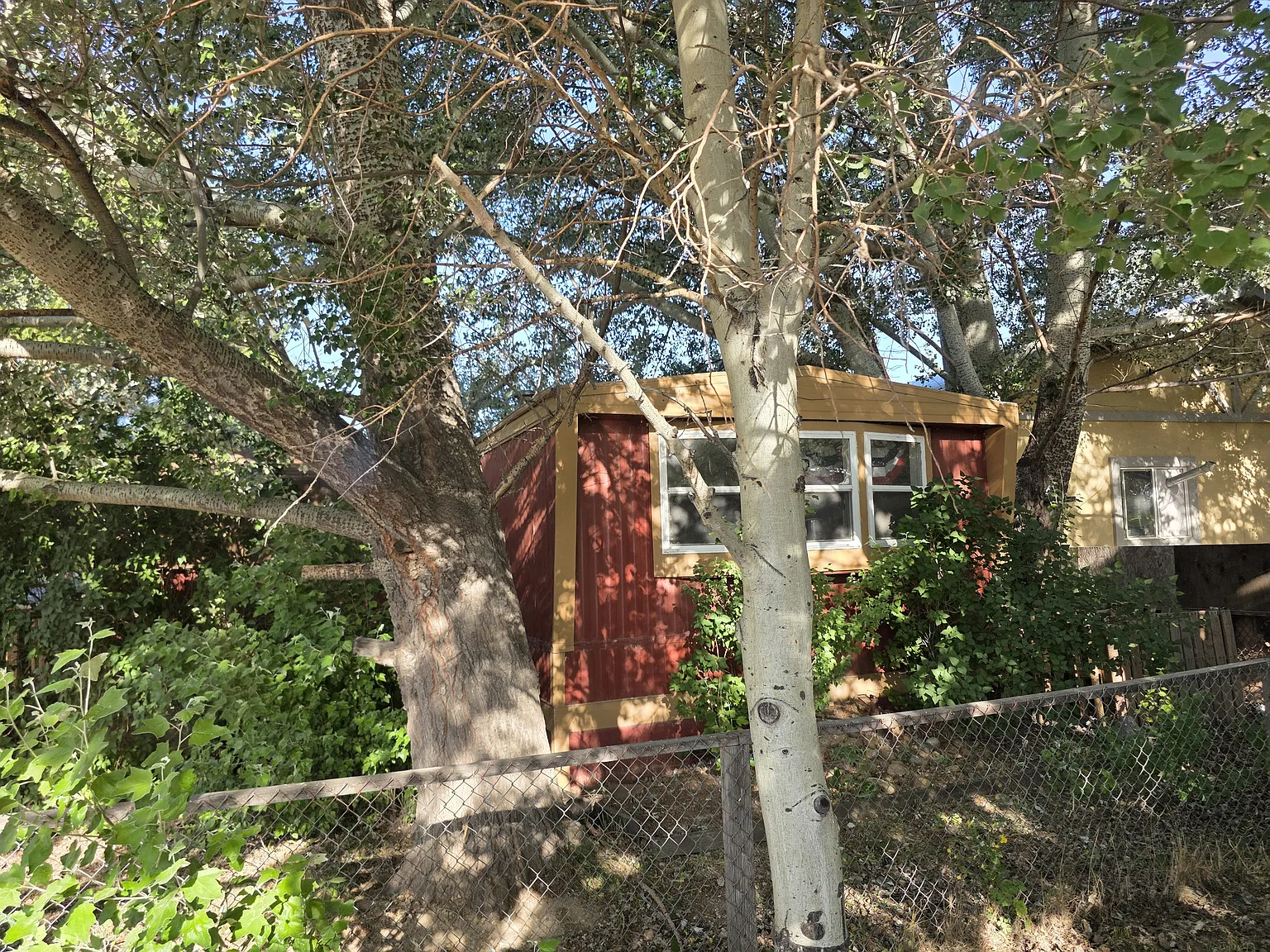 3 bed, 980 sqft, $1,700 — Photo 2