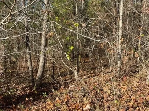 0 Holly Forest Dr, Rutherfordton, NC 28139