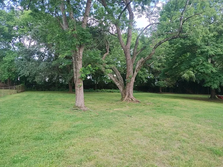 244 Sterling Rd — Photo 13