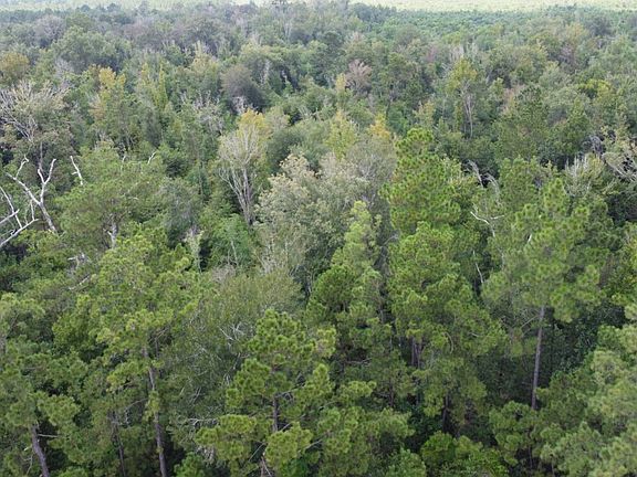 2nd image of Tbd Holbrook Park Rd