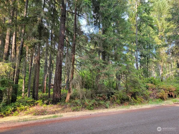 10910 Maple Place, Anderson Island, WA 98303