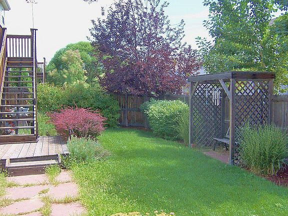 Back yard facing east