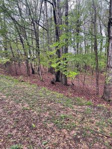 164 Sandpiper Poin, Counce, TN, 38326