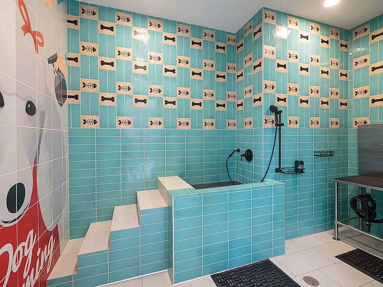 CALIXA Apartment Homes — Photo 30
