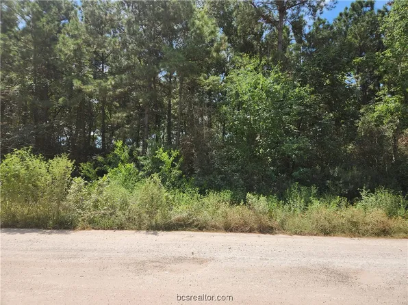 LOT 5 Tawnyberry Ln, Plantersville, TX 77363