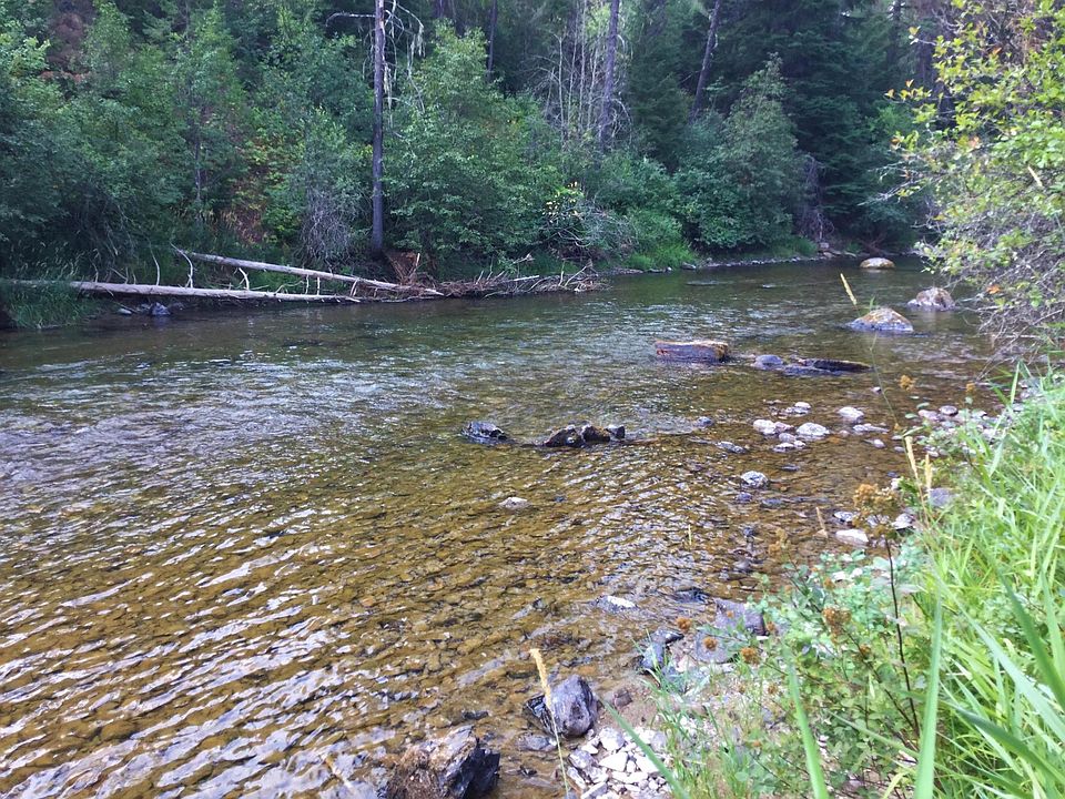 1st image of Nhn Conifer Ln