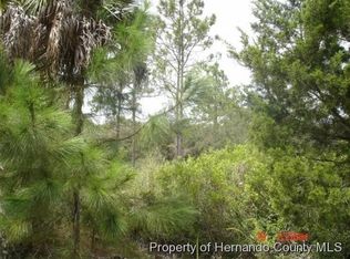 18259 Retriever Rd, Weeki Wachee, FL 34614