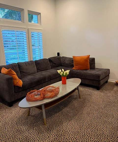 1371 Mission San Carlos Dr — Photo 4