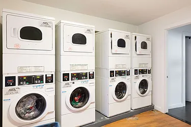 Rented by Bold New York