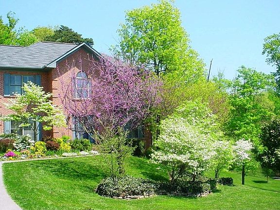 Beautiful Spring Shot!