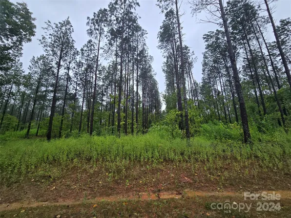 Vacant Raggle Rd, Gold Hill, NC 28071