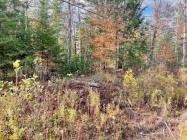 00 Peene Hill Road, Westmore, VT 05822
