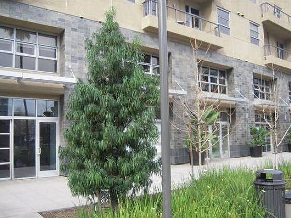Side View #1