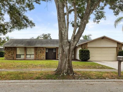 1561 Mac Charles Ct, Dunedin, FL, 34698