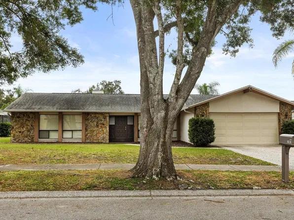 1561 Mac Charles Ct, Dunedin, FL 34698