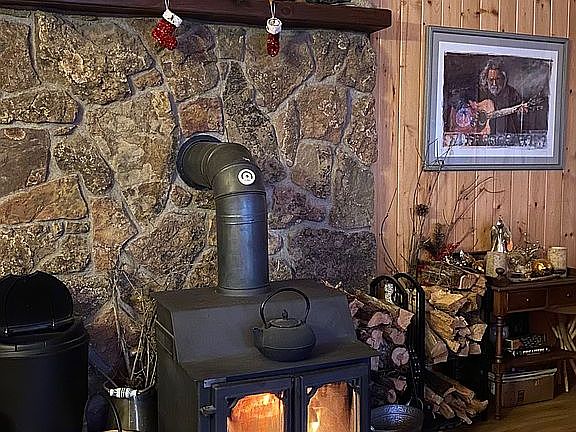Grizzly wood stove