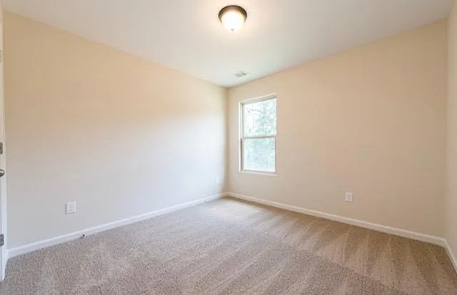 429 Fall Ct — Photo 8