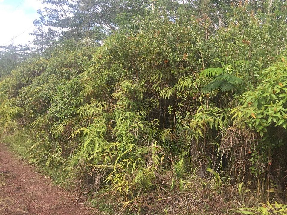 2nd image of Sandalwood Ct Lot 15