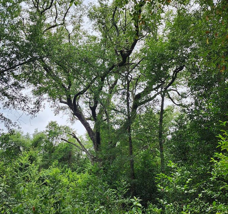 1st image of 0 Babcock Rd