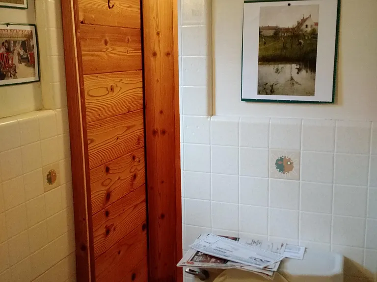 Loft downstairs walk-in shower
