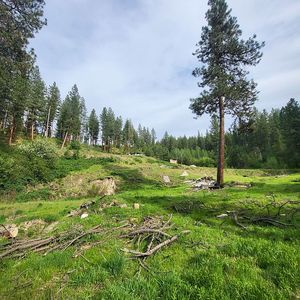 19 Red Bluff Rd, Boise, ID, 83716