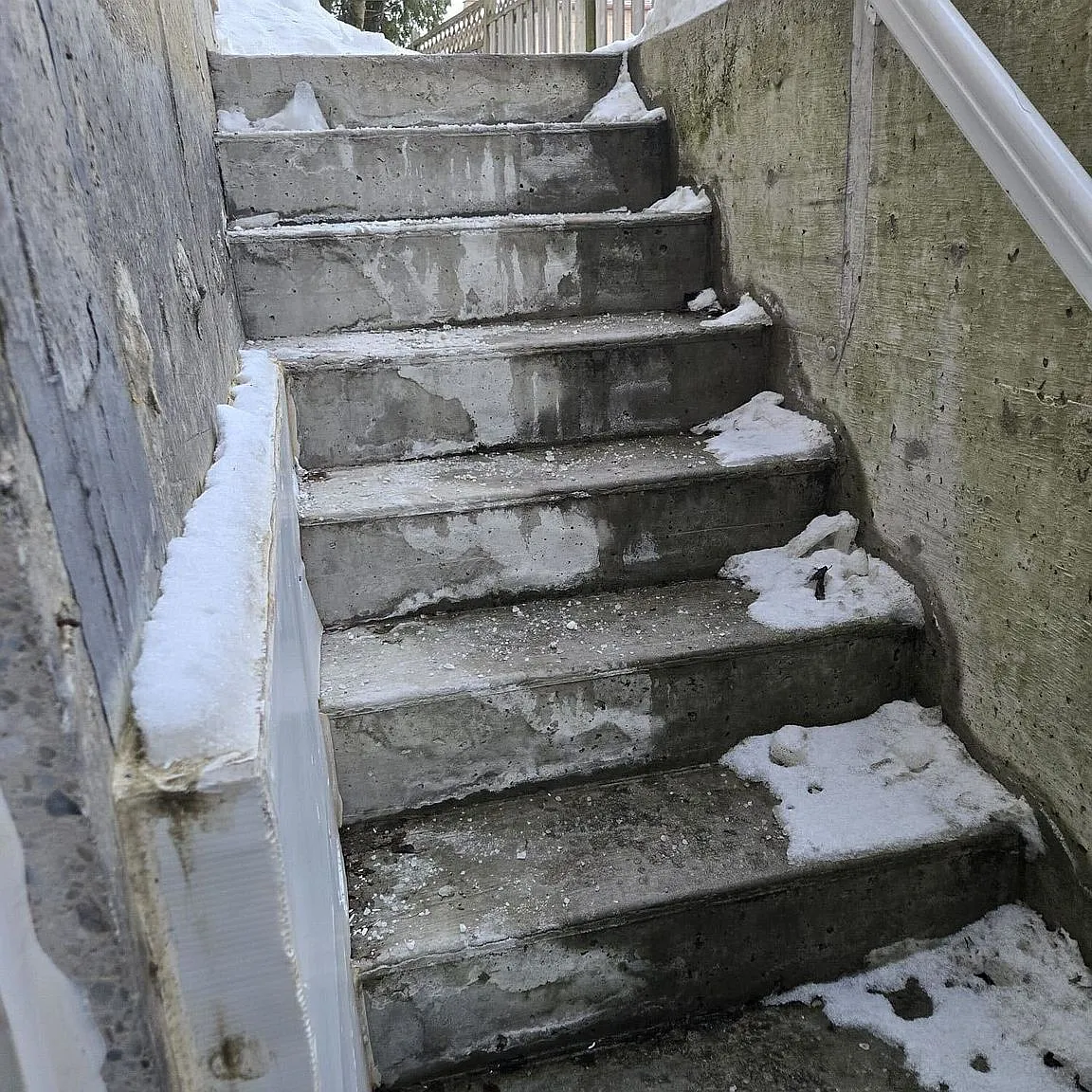 2 bed, $1,600 — Photo 2