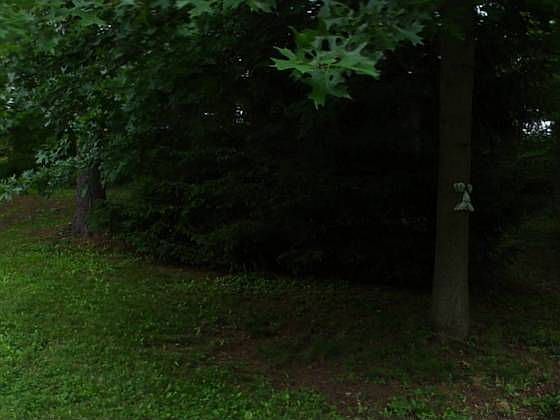 1st image of 1555 Seven Mile Dr