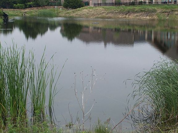 5th image of 416 Wyndemere Blvd