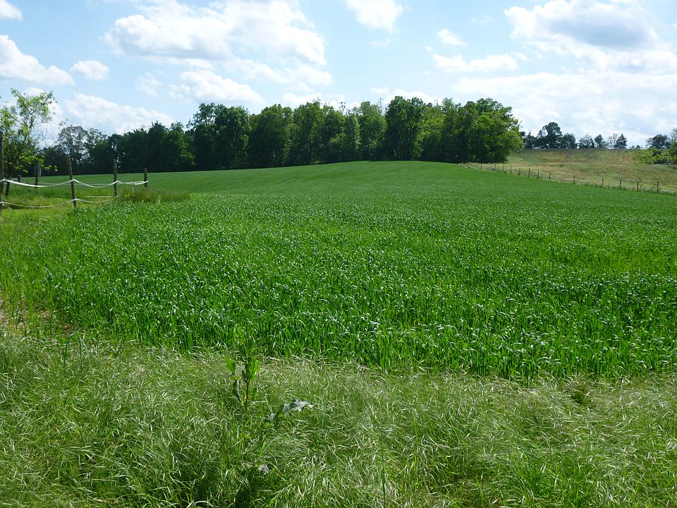 Pasture/hayfield