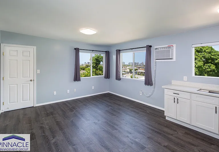 3533 Hinahina St — Photo 5