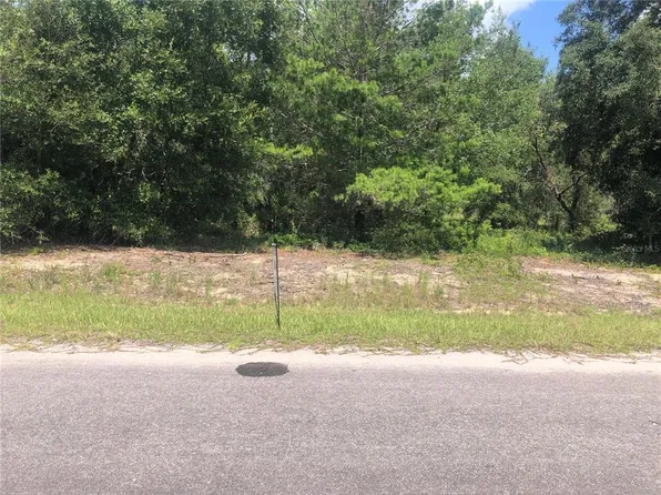MALAUKA LOOP LOT 11, WEIRSDALE, FL 32195