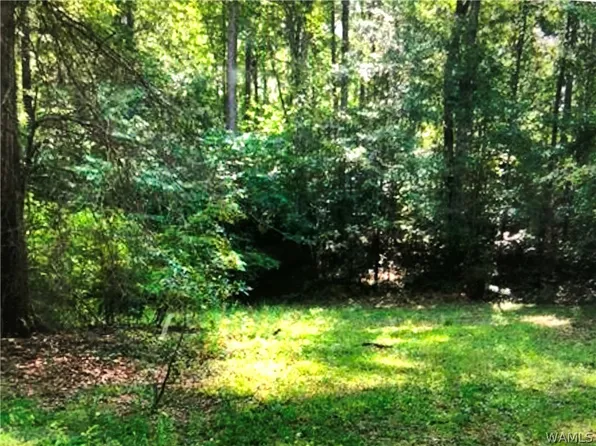 0 Propst Rd, Duncanville, AL 35456