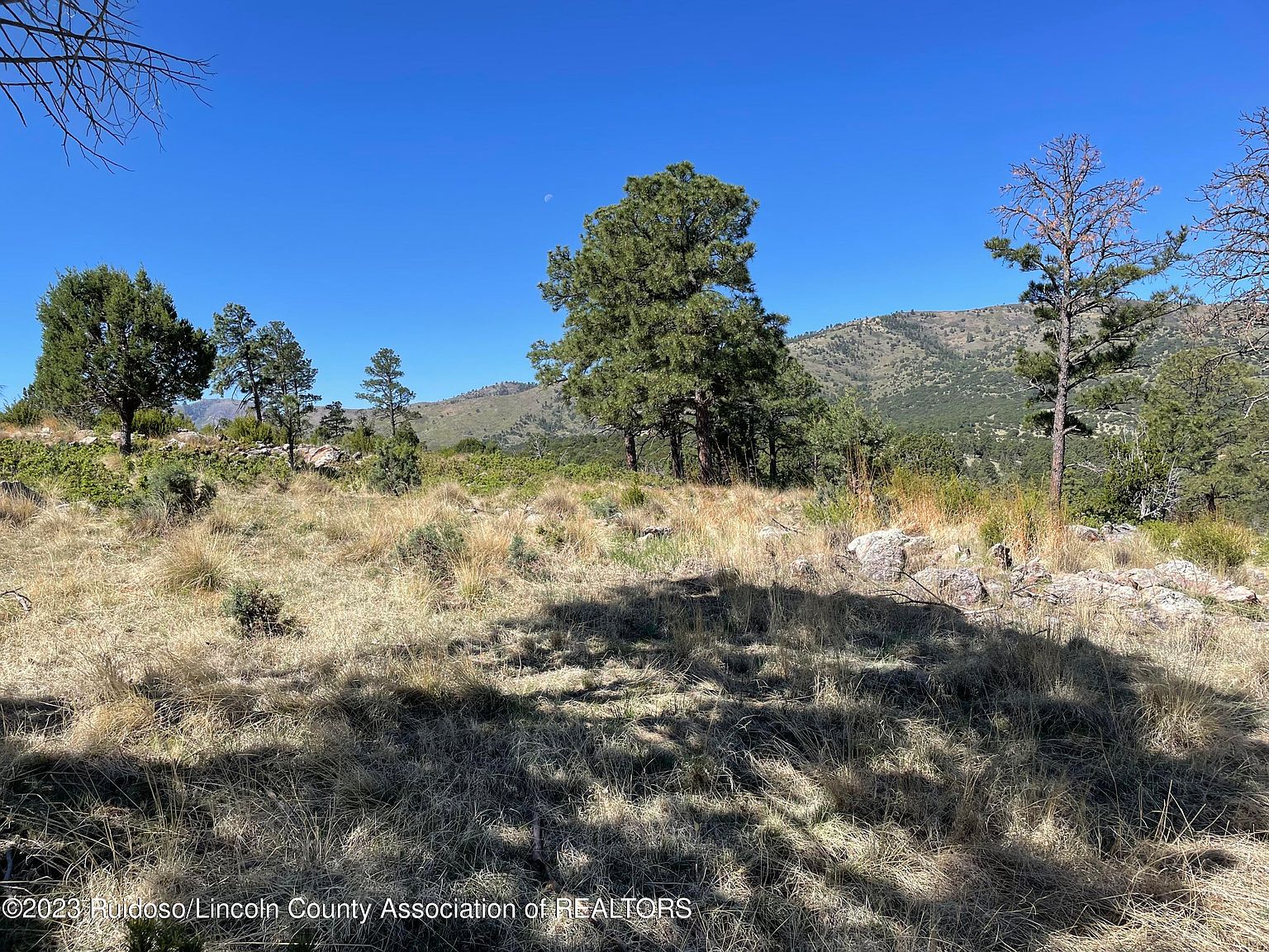 L16 Buggy, Nogal, NM 88341 MLS 130075 Zillow