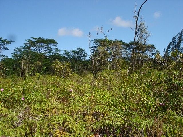 1st image of 24th Ave Lot 196